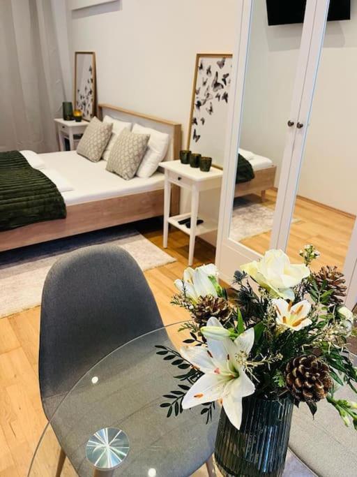 Gemuetliches Apartamento Viena